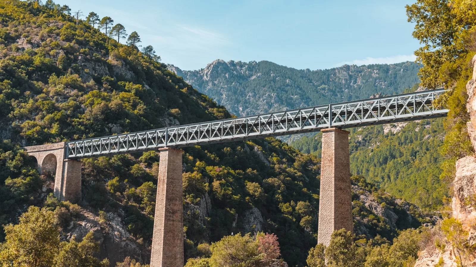 Le train corse (CFC) : la colonne vertébrale du réseau