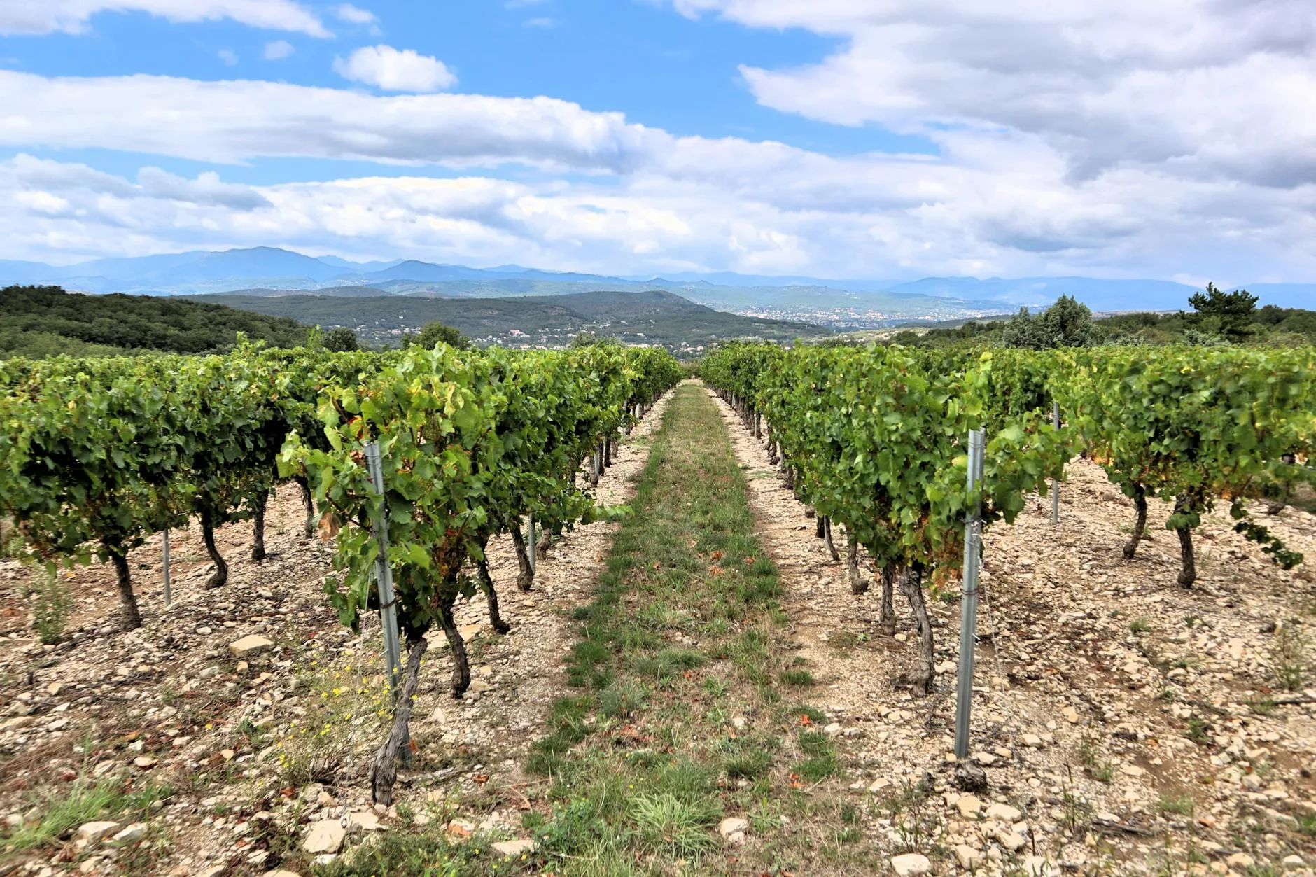 ️ Les appellations AOC