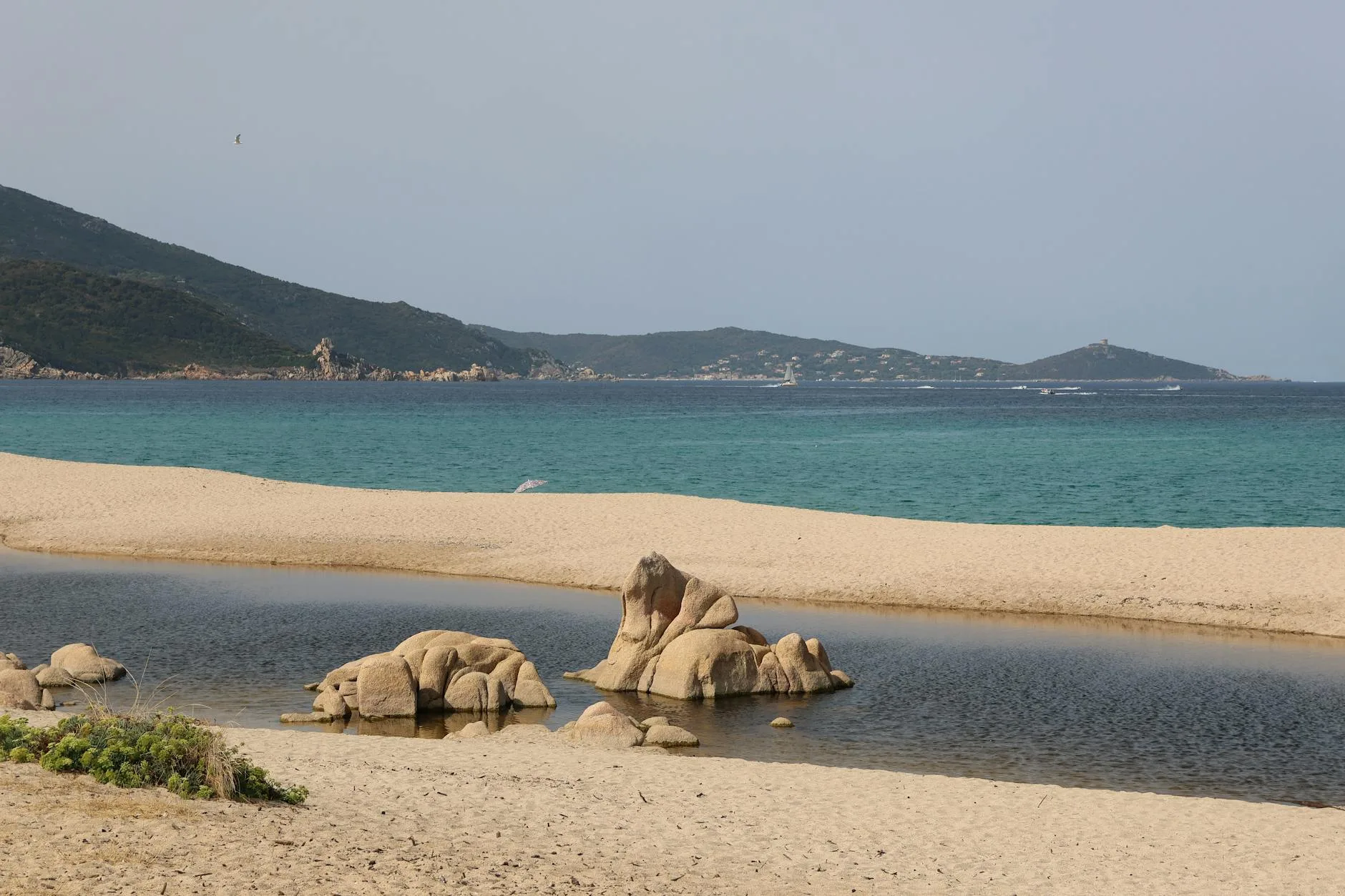 ️ Les Îles Lavezzi : la réserve naturelle marine