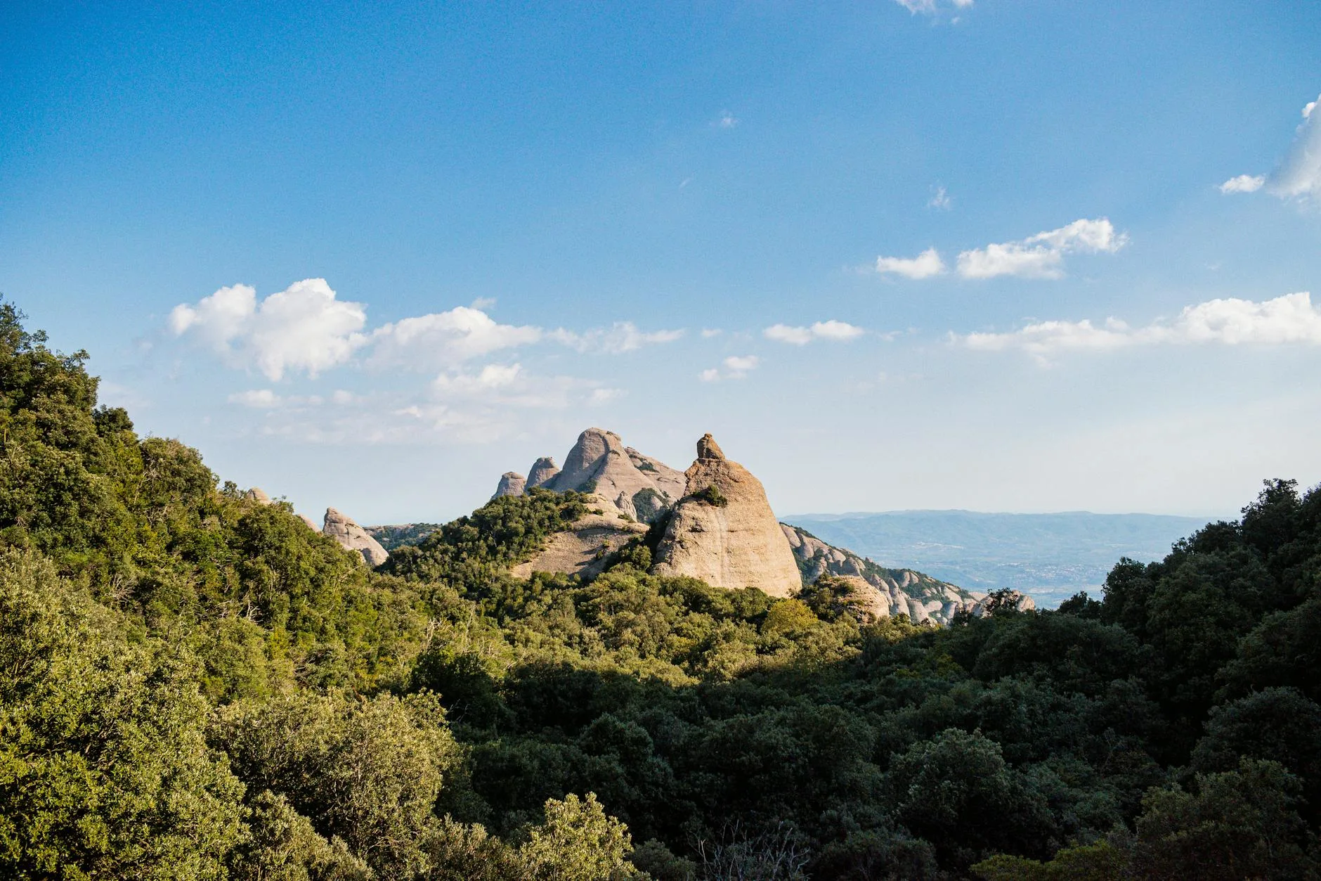 L'arrière-pays : de l'Alta Rocca aux Aiguilles de Bavella
