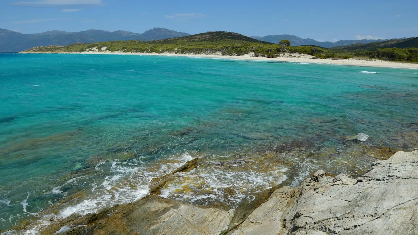 ️ Quelles plages de Corse acceptent les chiens